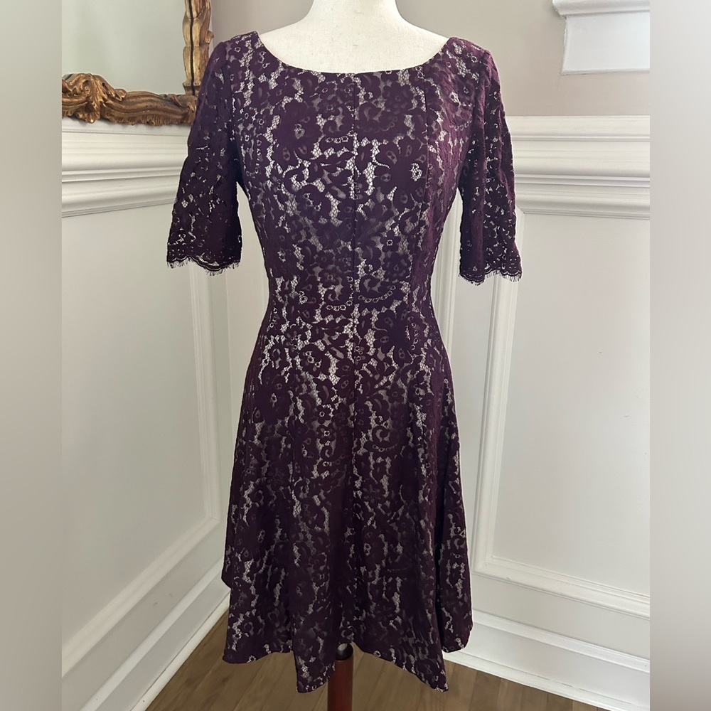 Purple Lace Fit to Flare dress - Monique Lhuillier inspired